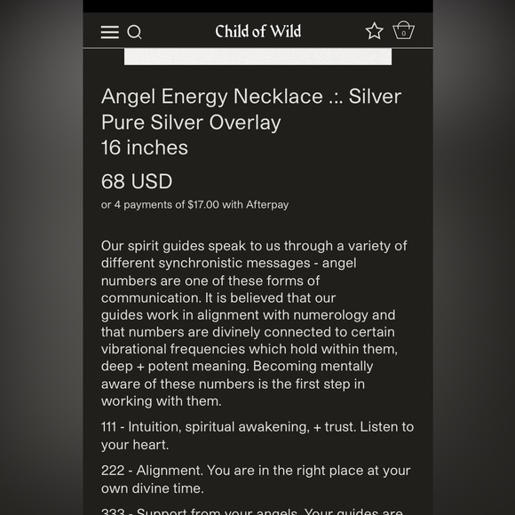 Child of Wild Angel Energy Necklace 222 Silver - Picture 9 of 9